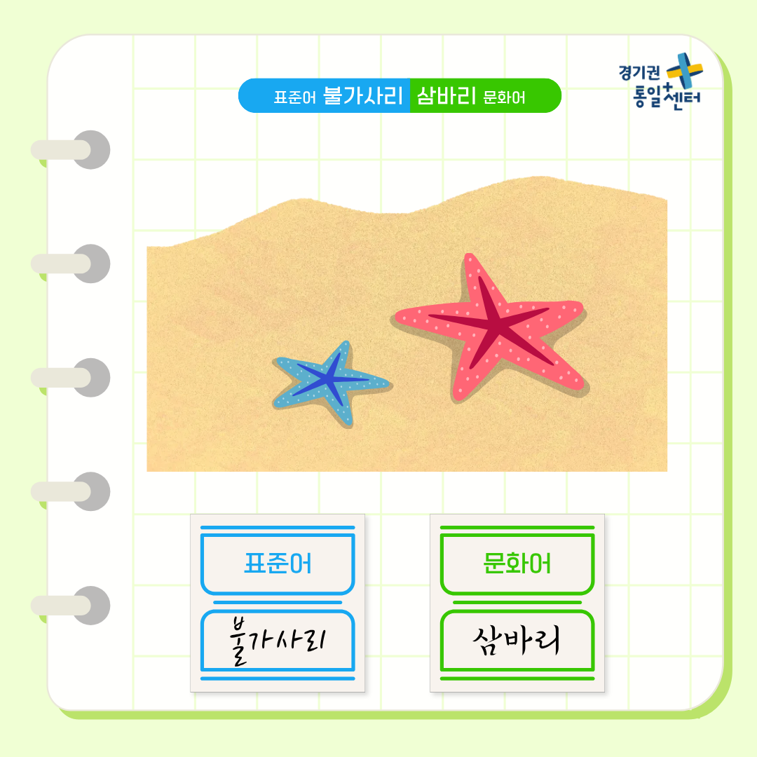 남북한언어비교 7월 여름편9