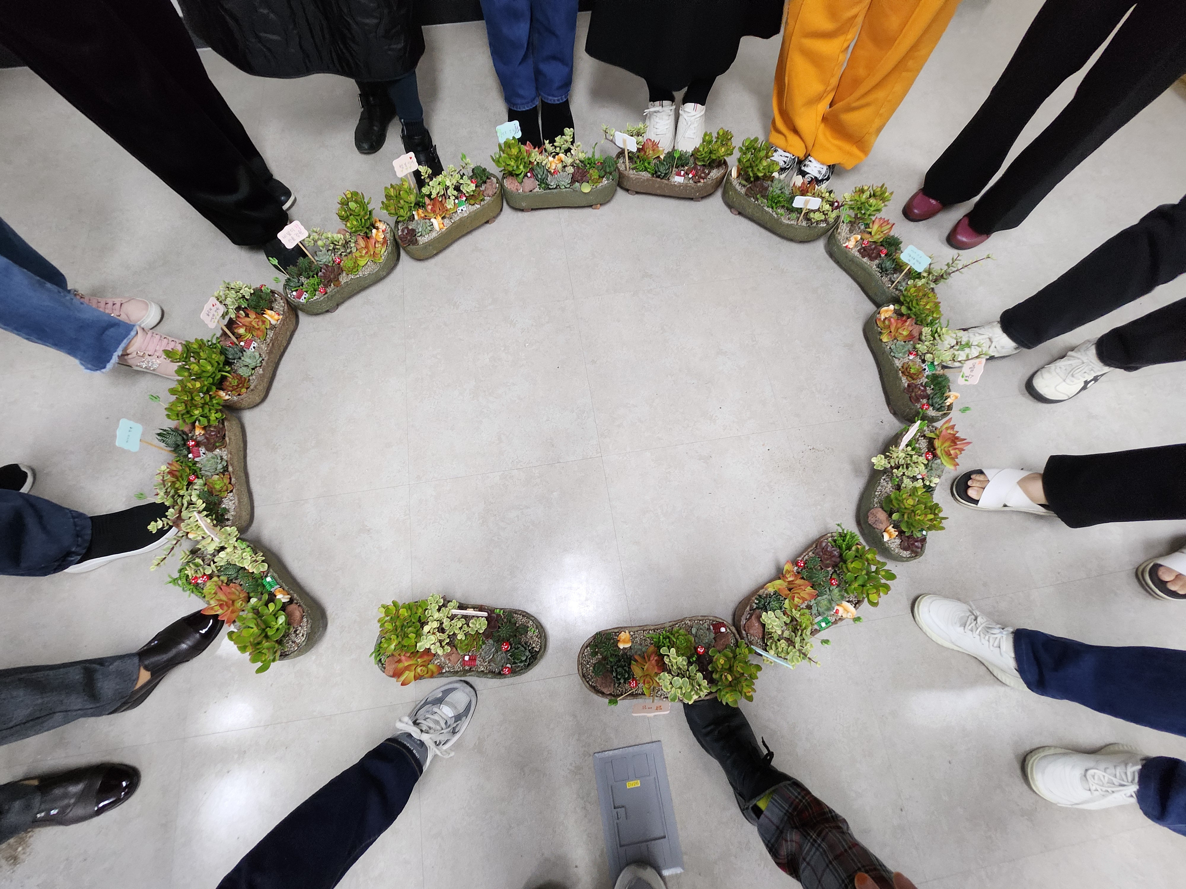 11/5 지역주민과 북한이탈주민이 함께하는 문화프로그램(2차)-원예 테라피 1회 사진2