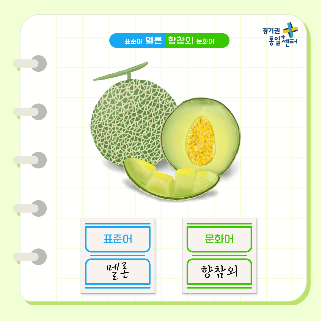 남북한언어비교 7월 여름편5