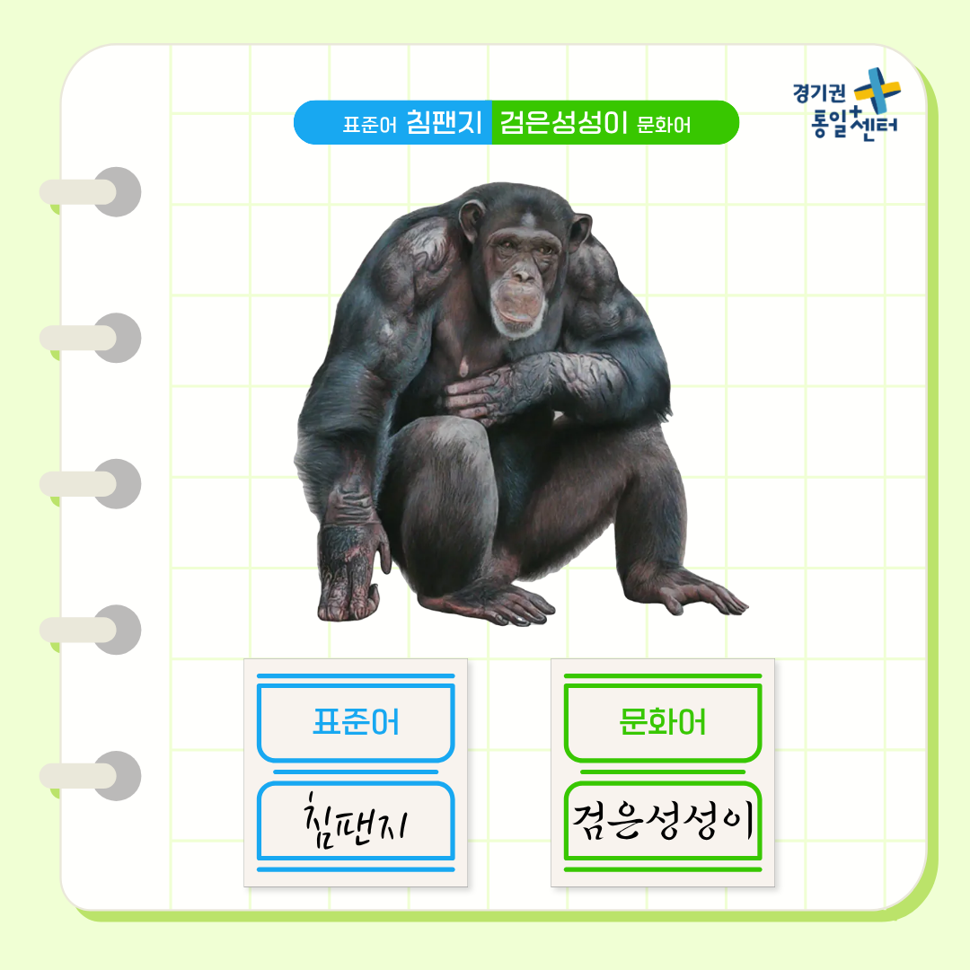 남북한언어비교 8월 동물편4