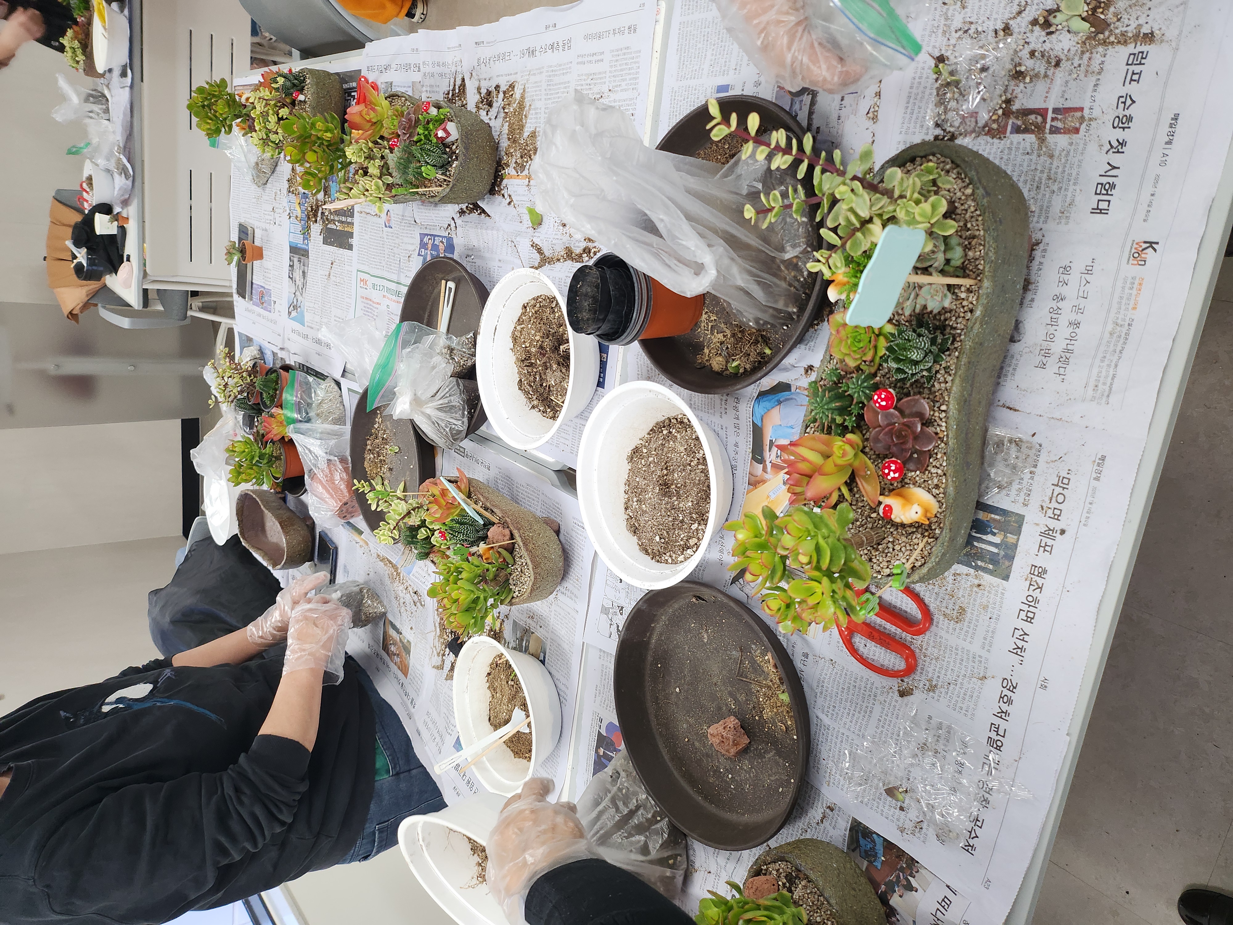 11/5 지역주민과 북한이탈주민이 함께하는 문화프로그램(2차)-원예 테라피 1회 사진1