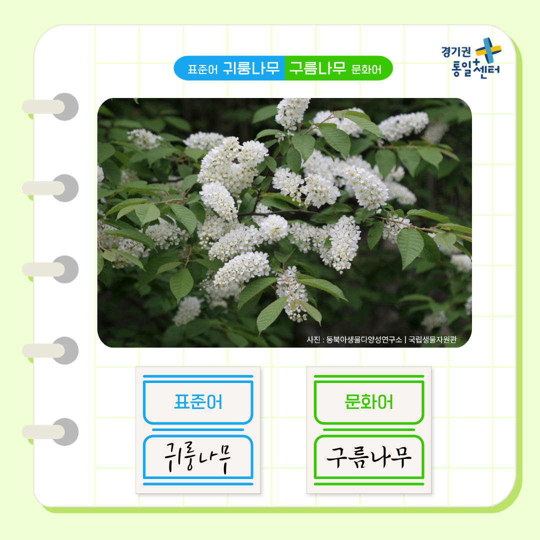 너의이름은4월식물4