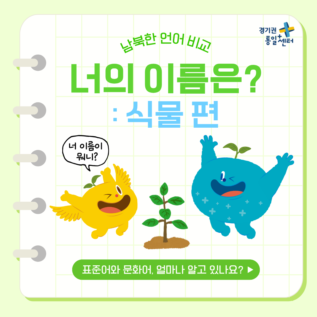 너의이름은4월식물1