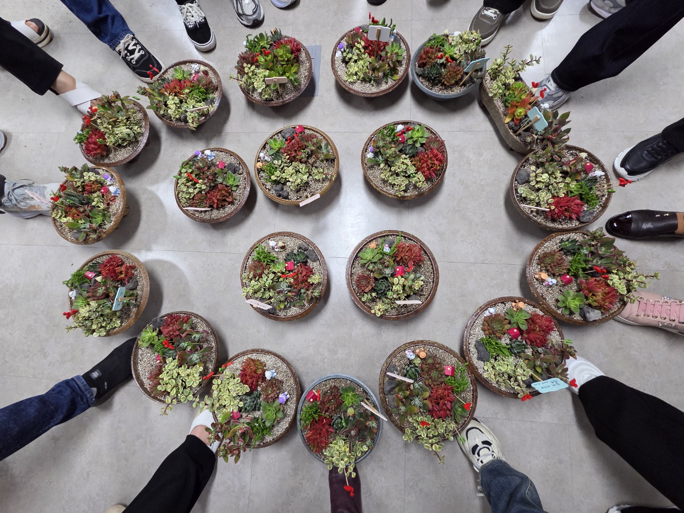 11/12 지역주민과 북한이탈주민이 함께하는 문화 프로그램(2차)-원예 테라피 2회 사진1