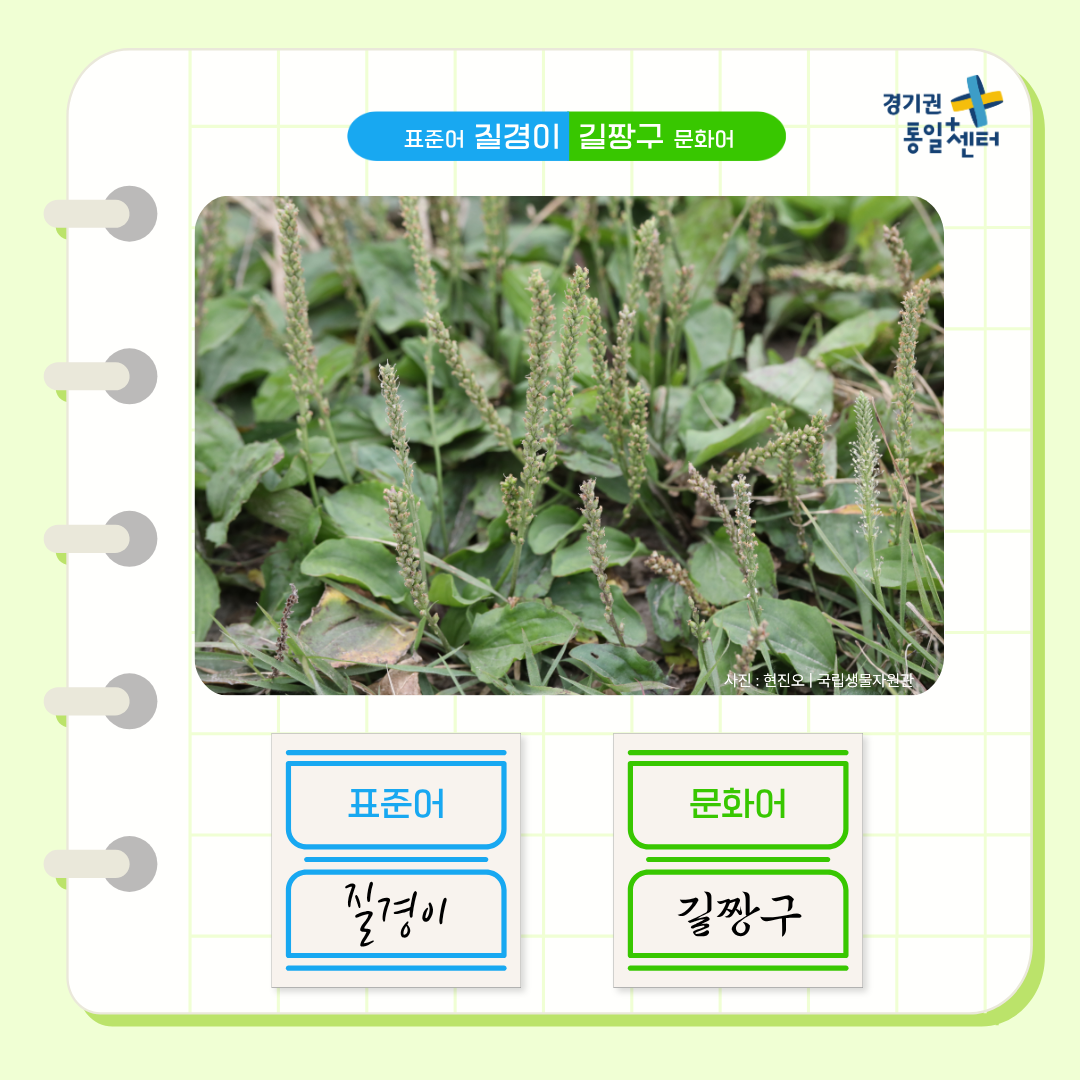너의이름은4월식물8