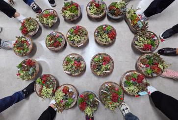 11/12 지역주민과 북한이탈주민이 함께하는 문화 프로그램(2차)-원예 테라피 2회 사진